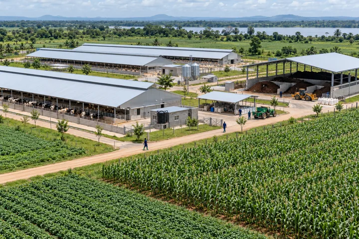 An aerial view of coordinated livestock buildings, compost handling and crop fields — AI-generated illustration